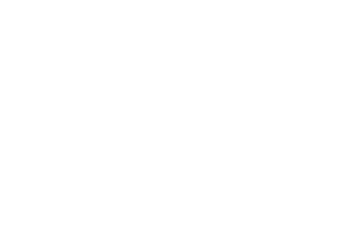 Vision 2030